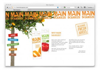 Main Squeeze Website